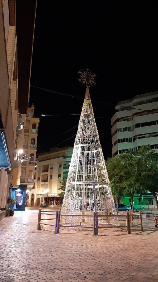 Pondrán en marcha una campaña de reciclaje durante las fechas navideñas