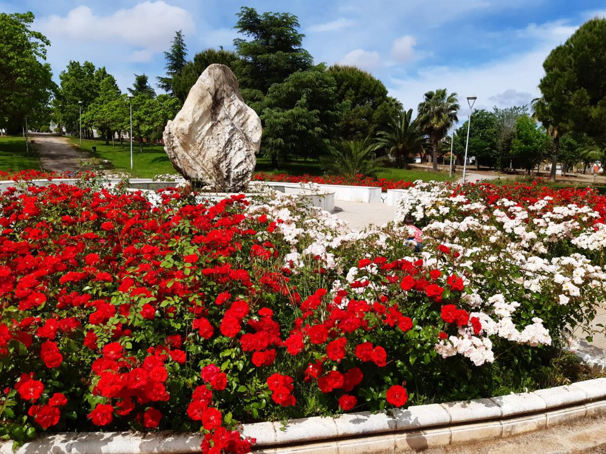 Aprueban la licitación del contrato de servicio de parques y jardines