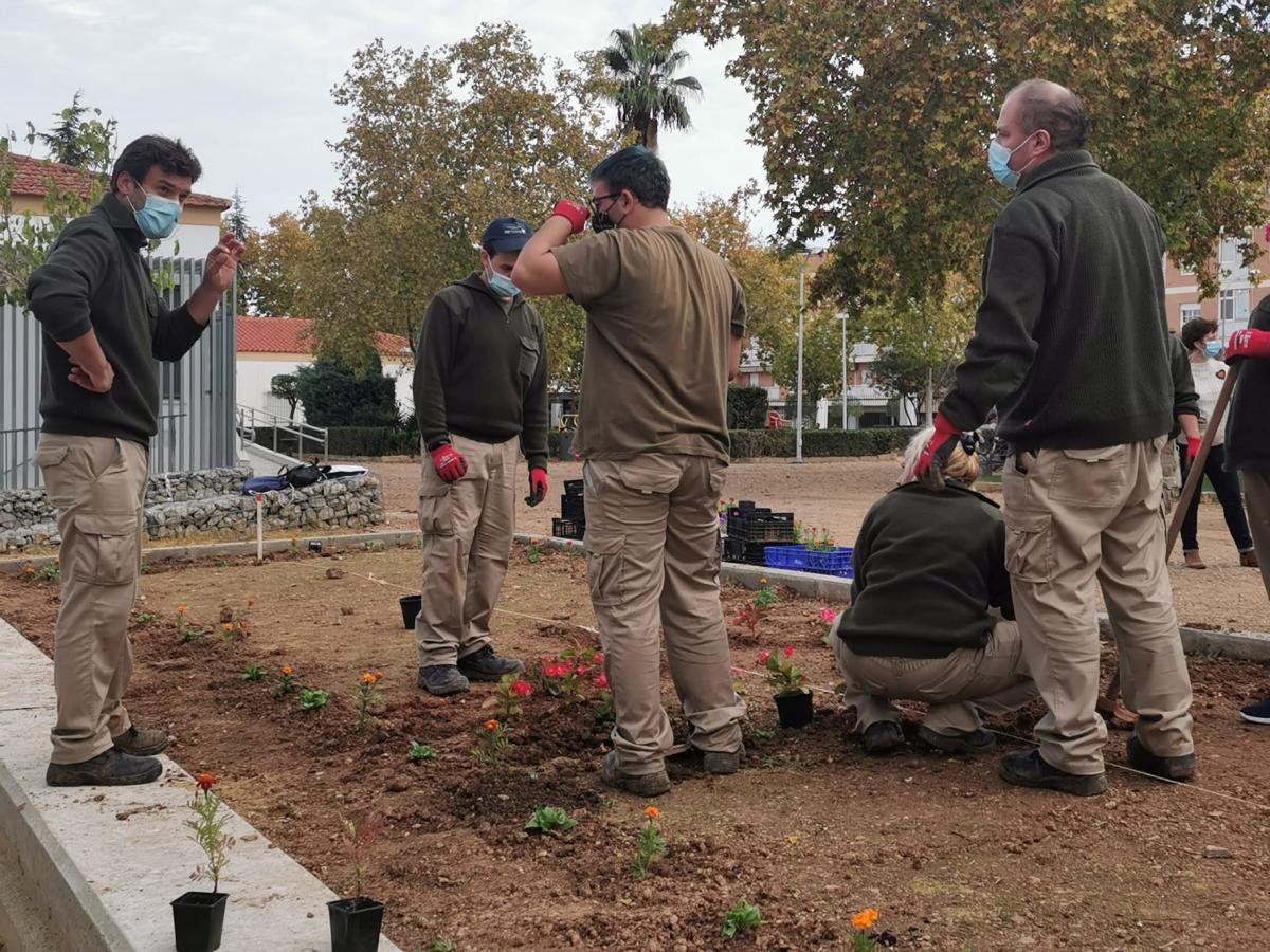 Usuarios de  Crisol aprenden técnicas de jardinería en los parques de la ciudad