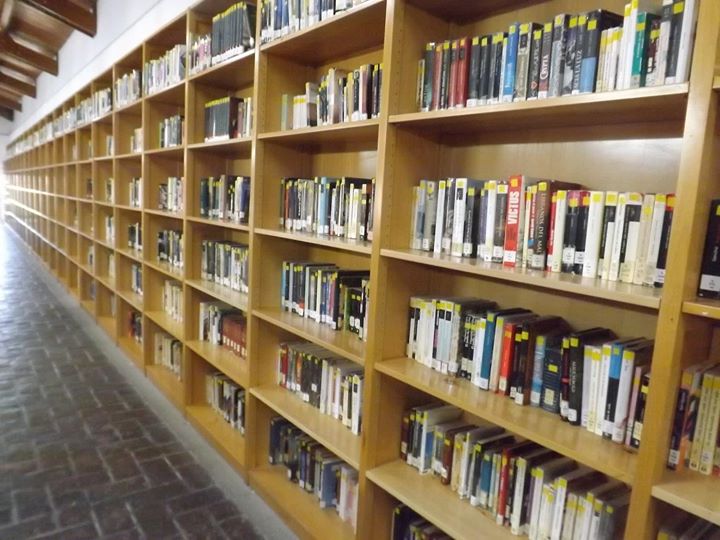 La biblioteca requerirá de un informe externo para valorar la situación del techo