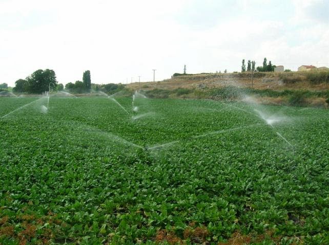 Ecologistas en Acción y Nueva Cultura del Agua consideran insostenible el regadío