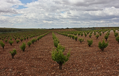 La Unión  Extremadura estima que Extremadura perderá más de 48 millones de euros 