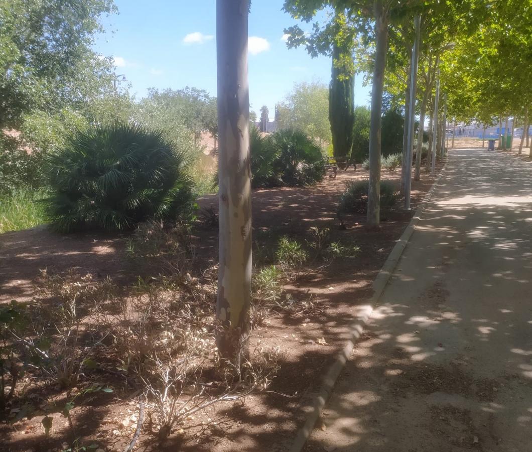 El ayuntamiento de Almendralejo limpia el arroyo de Las Picadas