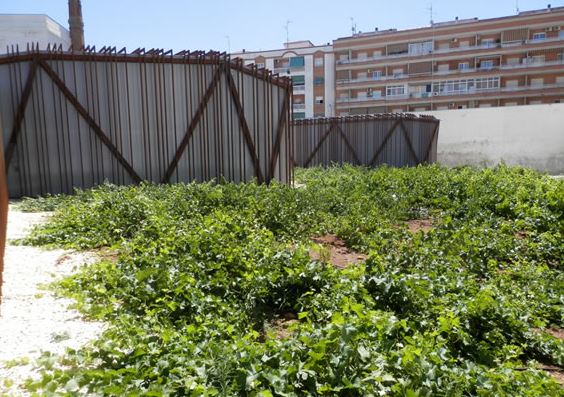 Programan un taller para enseñar el proceso de elaboración del vino