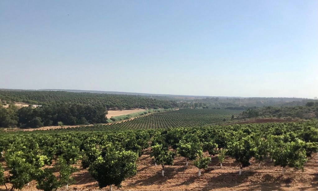 La Unión Extremadura exige a la Consejera de Agricultura que se retire el actual proyecto de riego en Tierra de Barros.