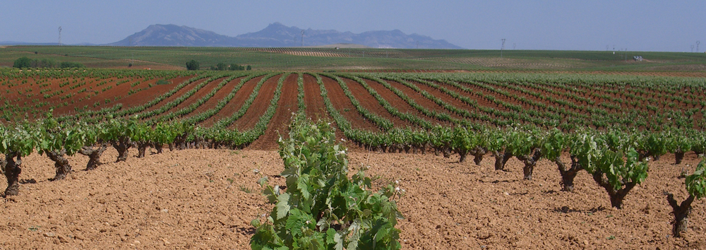 La Unión Extremadura se manifestará contra el Ministro de Agricultura en su visita a Almendralejo 