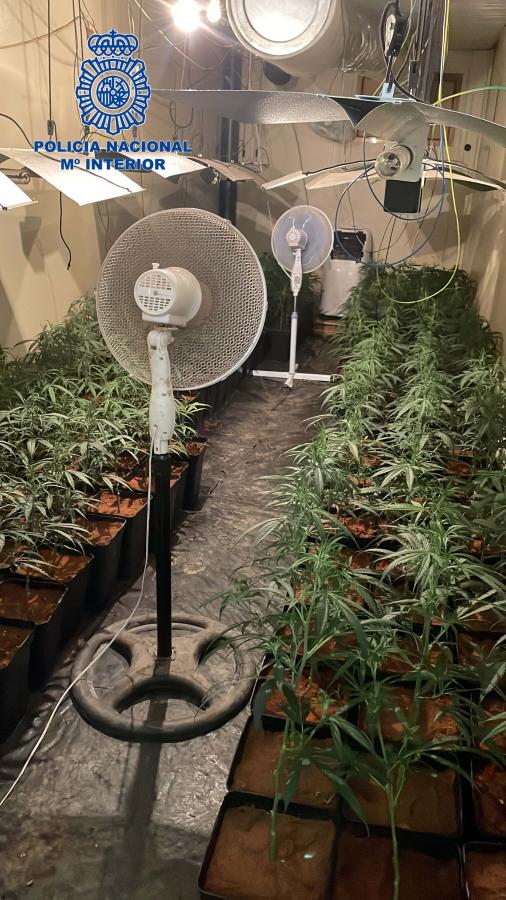 La Policía Nacional detiene al responsable de una plantación de marihuana indoor