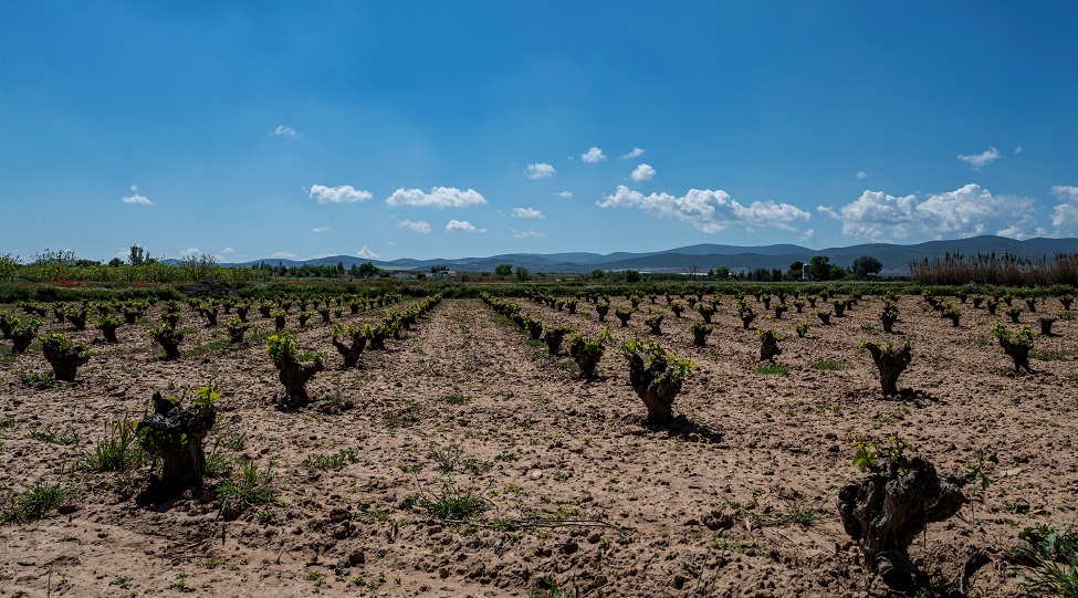 La Junta de Explotación de la Masa de Agua Subterránea propone el régimen de extracciones