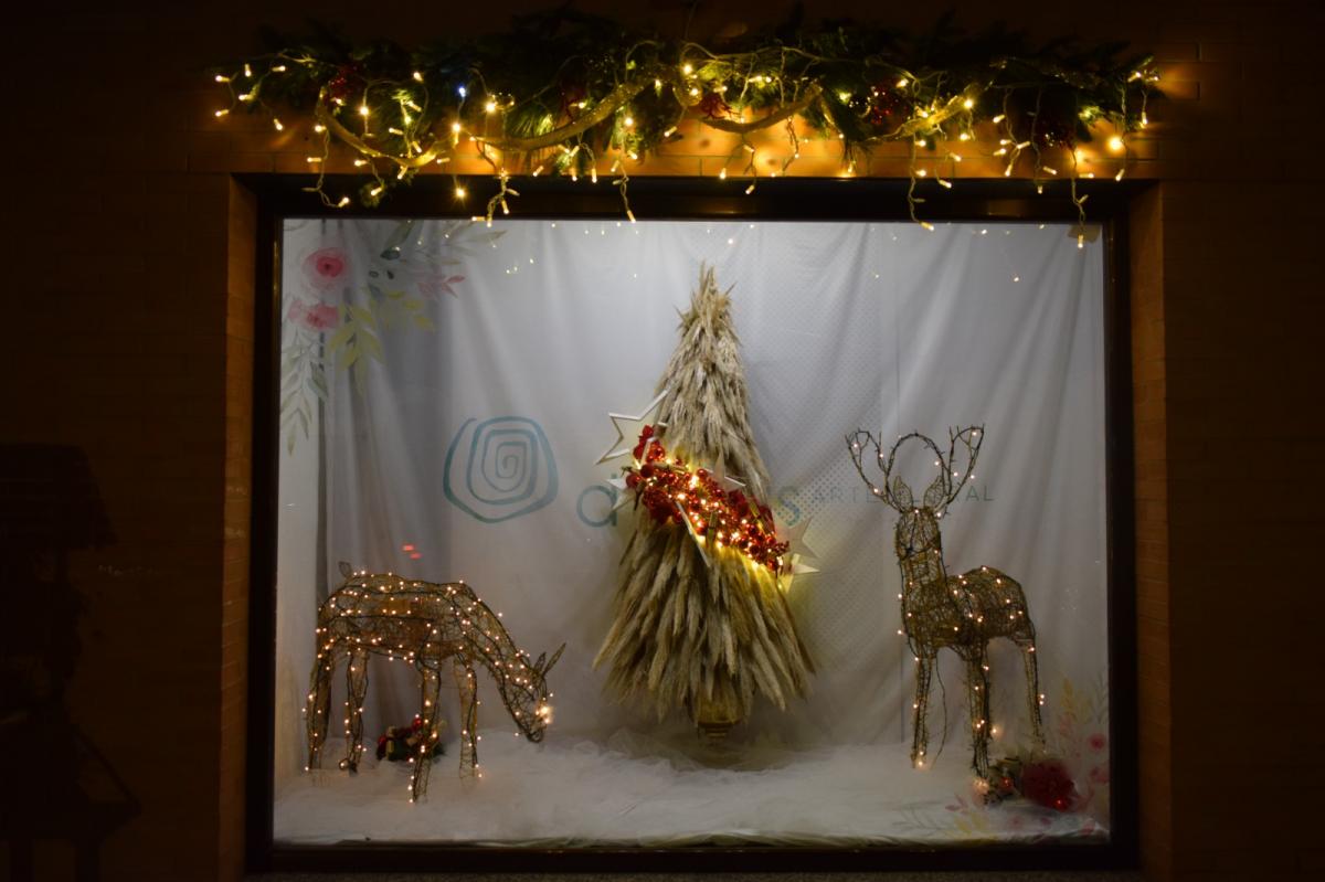 Floristería Maribel gana el concurso de escaparates navideños