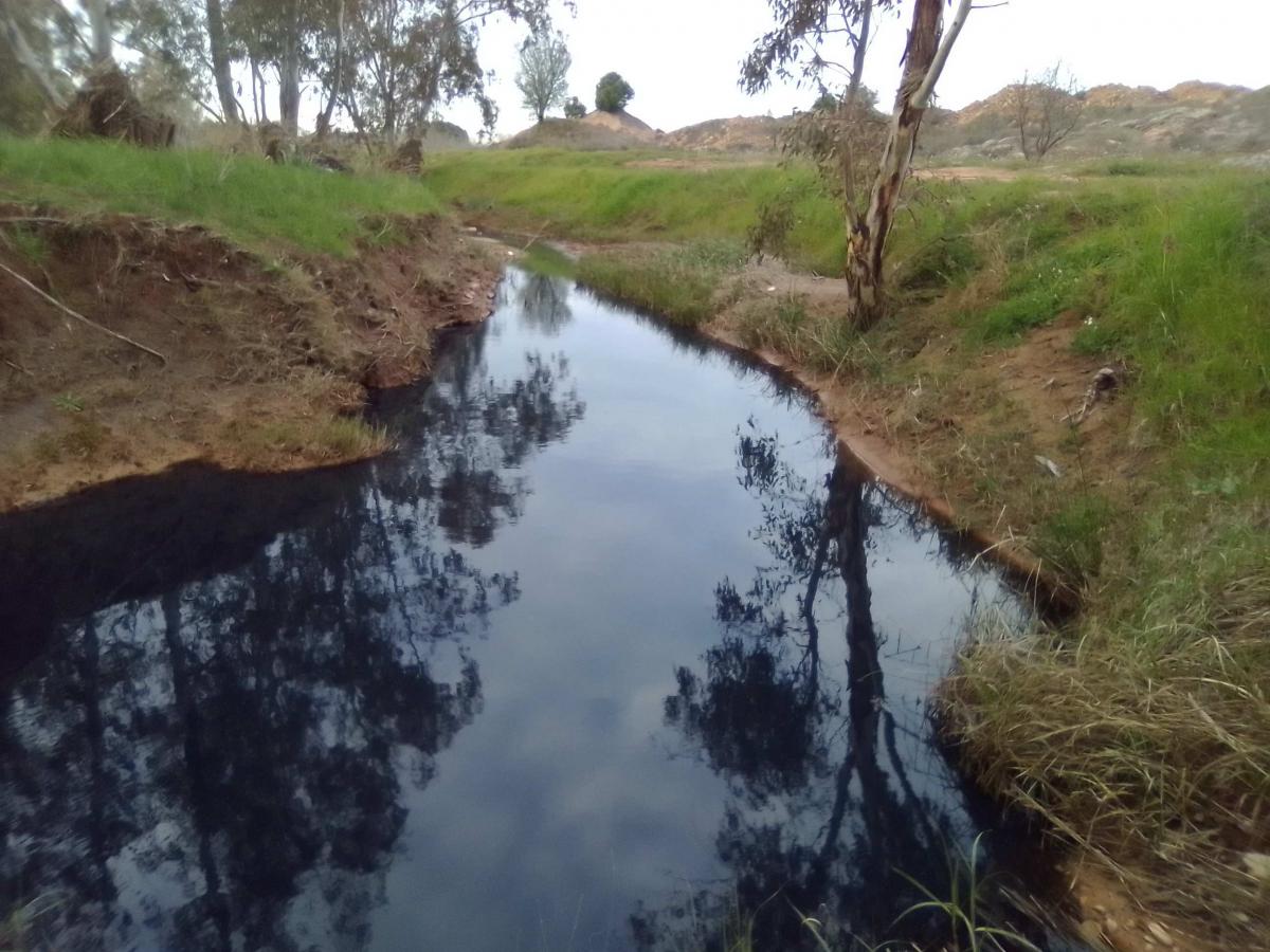 La Plataforma contra la Contaminación denuncia al Seprona vertidos al arroyo del Husero