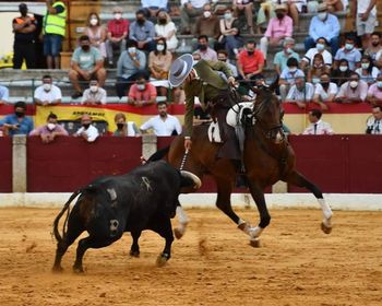 Alfredo Fernández dirigirá la carrera del rejoneador Adrián Venegas