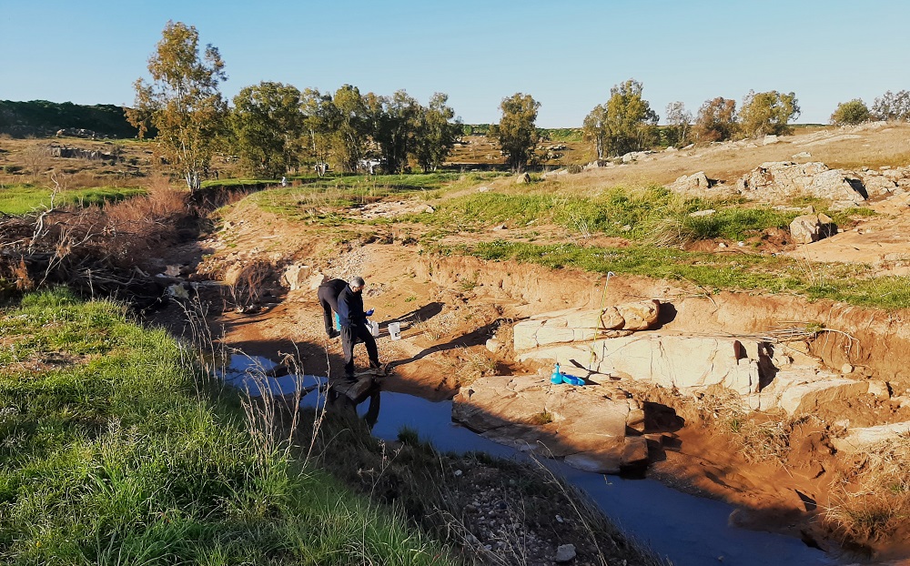 CHG inicia los trabajos de recogida de las aguas contaminadas en el arroyo Husero