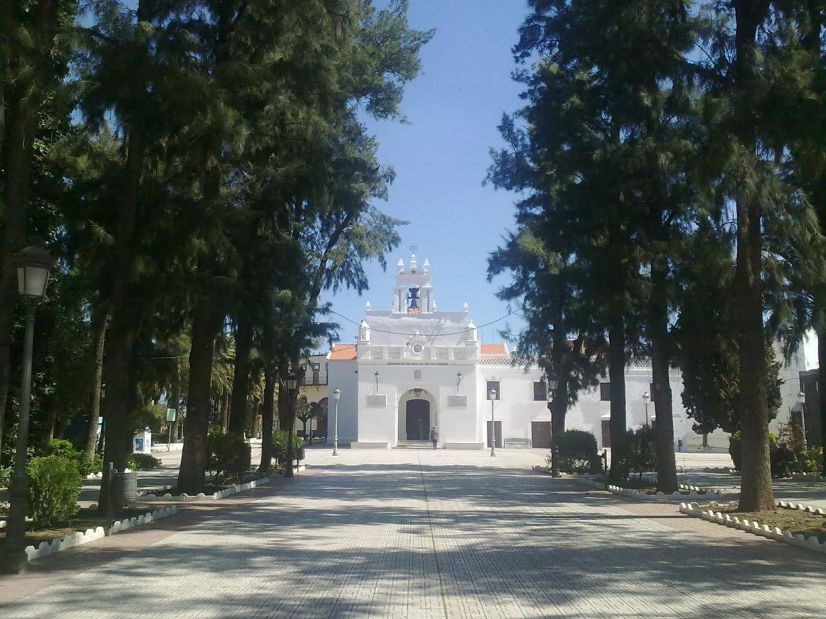 Ecologistas en Acción denuncia las podas realizadas en el parque de la Piedad