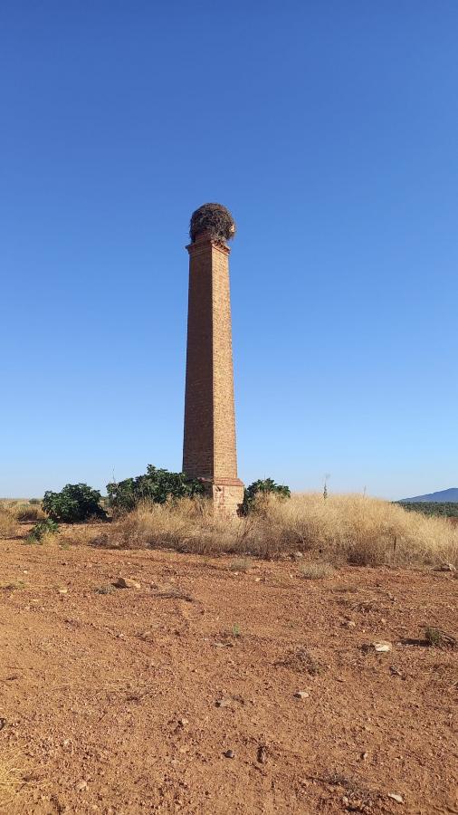 Amigos de las Chimeneas contabiliza once en desuso en la localidad