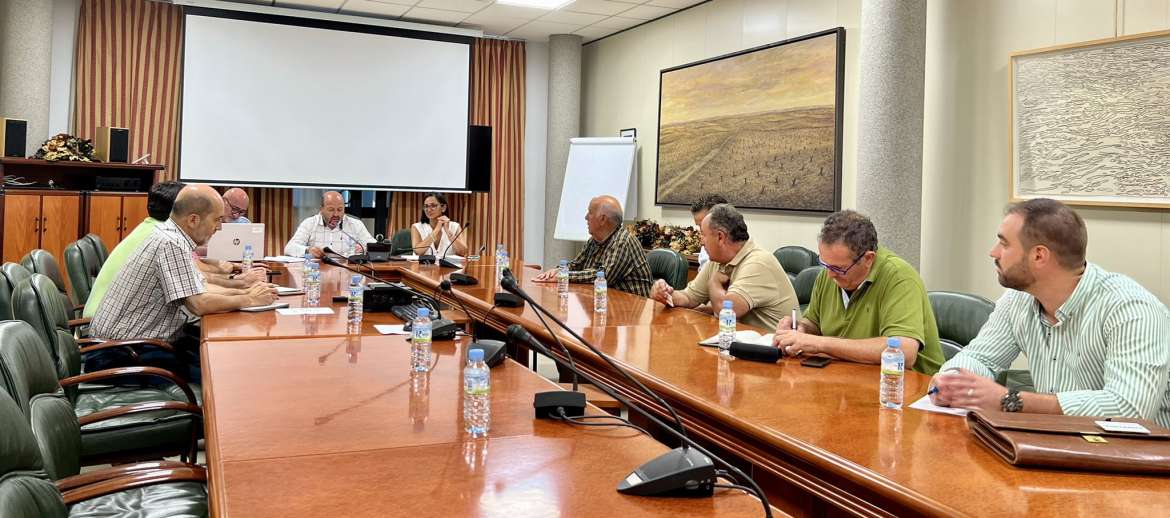 La Junta prevé 300 hectáreas más de viñedos para cava tras la sentencia del TSJM