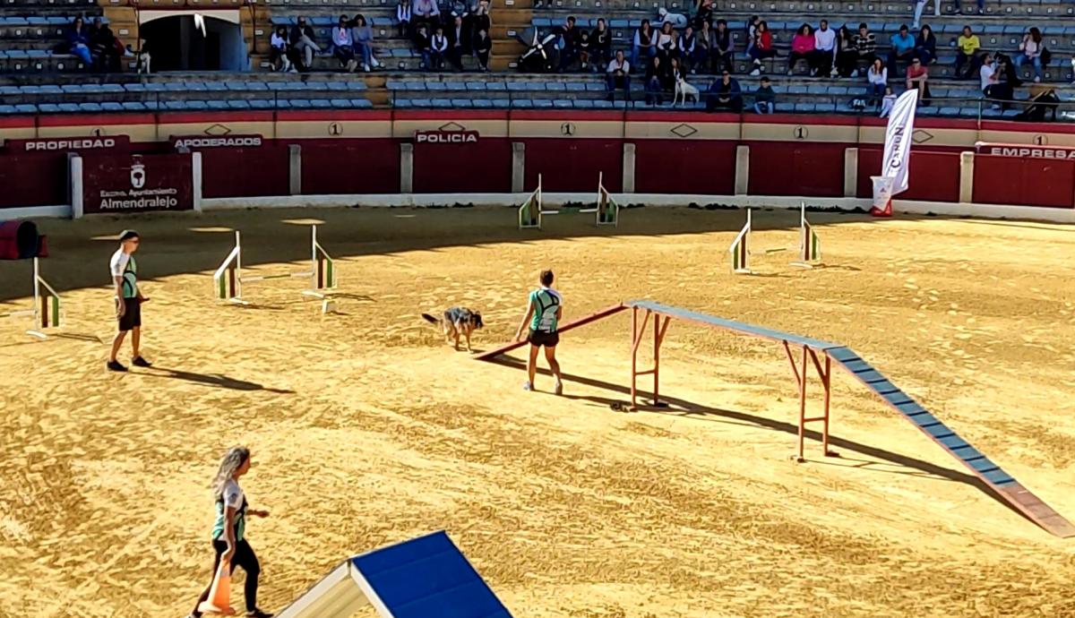 Una decena de personas integran el primer club de agility en Almendralejo