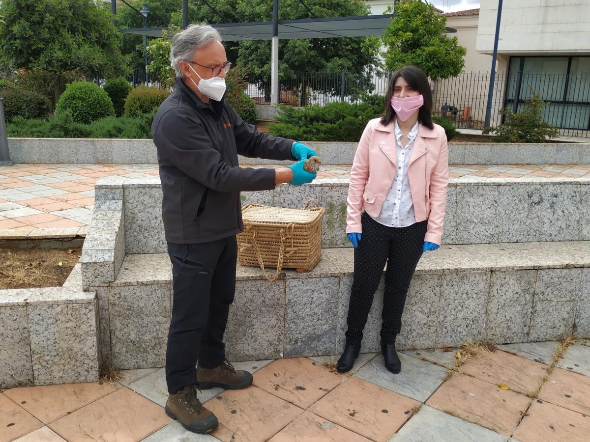 Dema libera un cernícalo primilla rescatado por una vecina