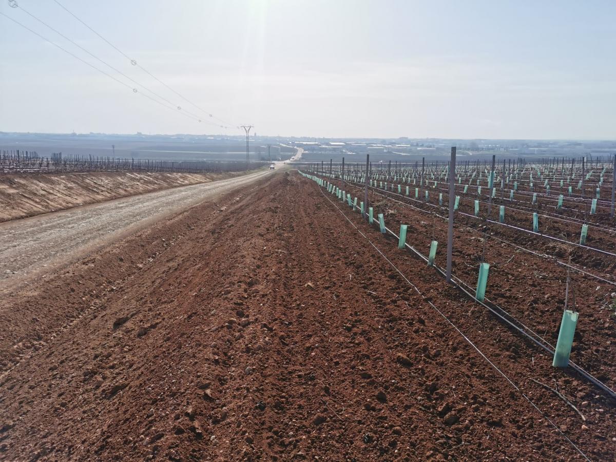 La CLYGAL afirma que las obras de la Vereda Corona exceden la anchura establecida