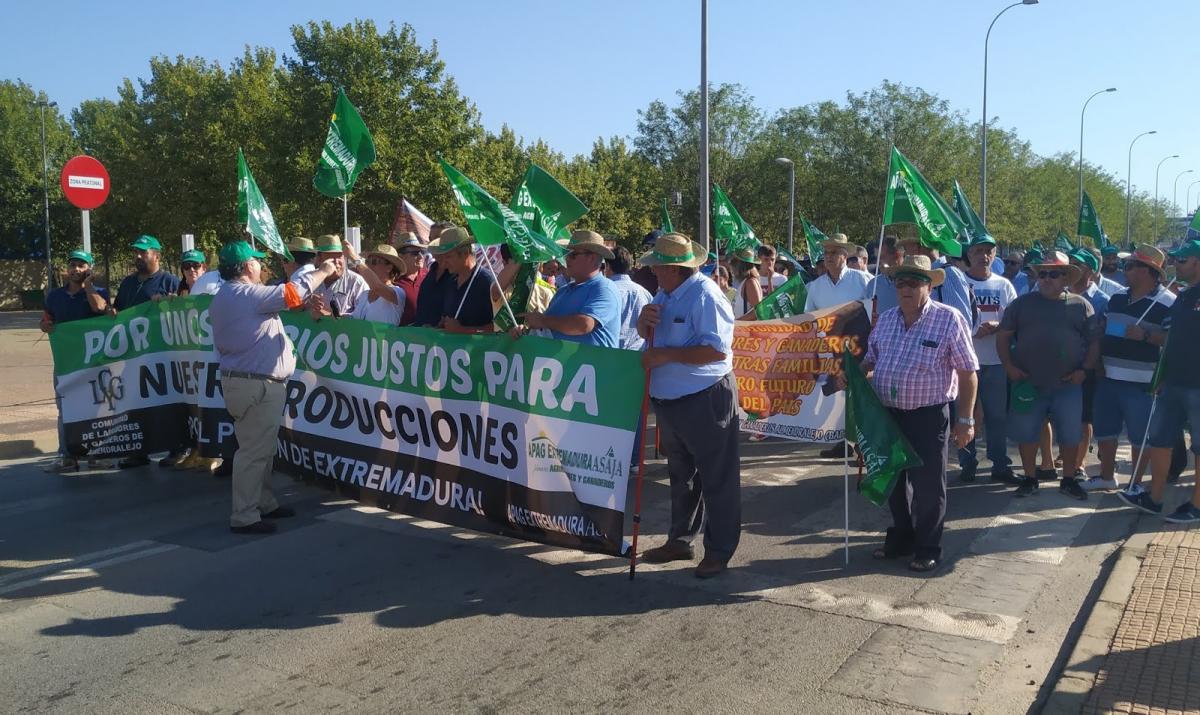 Apag Extremadura Asaja denuncia que Delegación de Gobierno impide la tractorada
