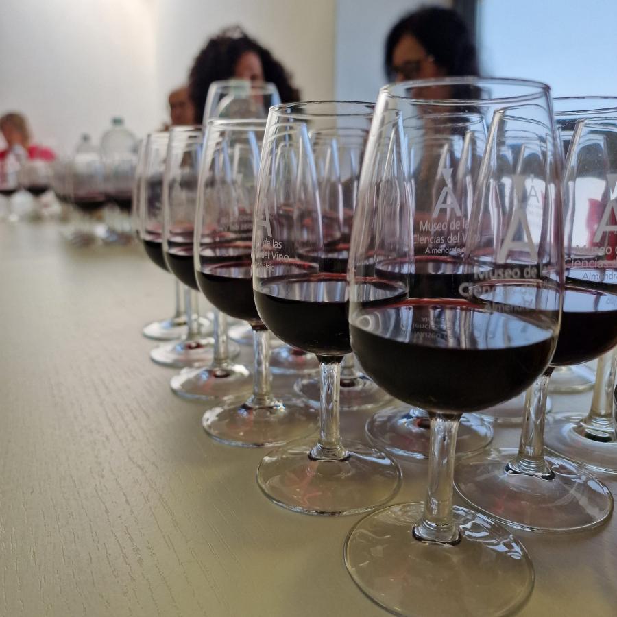 Un total de 19 bodegas participan en el concurso ‘Los vinos del Museo’