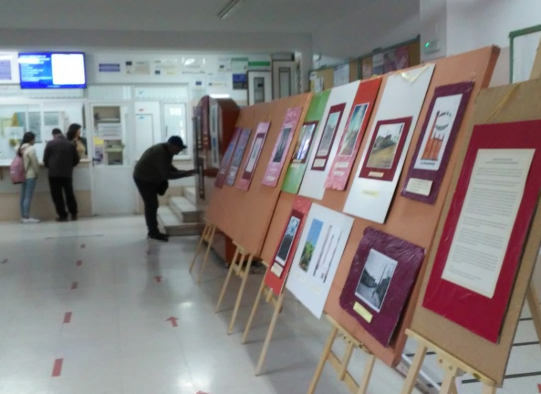 Amigos de las Chimeneas realiza una exposición en el IES Arroyo Harnina